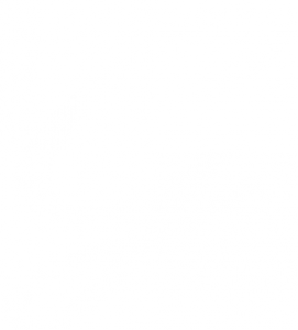 Le céjo